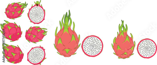Dragon fruit collection whole and sliced pitaya tropical fruit cartoon vector illustration set of fresh exotic healthy food isolated on light background