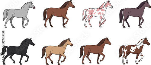 Horse cartoon collection vector illustration with different breeds and colors, running and standing poses, farm animals set for agriculture design and kids themes
