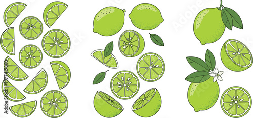 Lime fruit collection vector illustration with whole, sliced and cut citrus pieces, fresh green lemon set for healthy food, drinks and tropical design themes