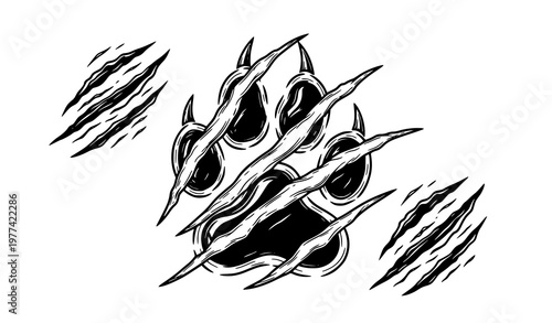 A black and white vector graphic of a bear claw mark