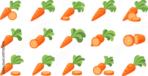 Carrot Vegetable Set with Whole Sliced and Chopped Variations Fresh Organic Food Collection Cartoon Style Vector Illustration Isolated on White Background