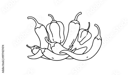 A minimalist line art illustration of a bunch of chili peppers