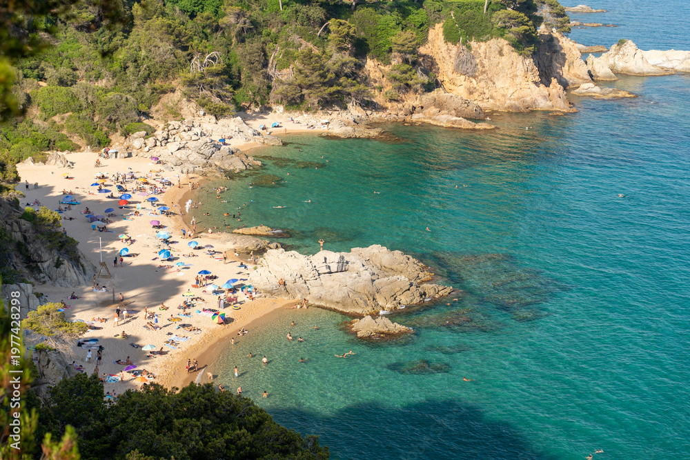 Naklejka premium Sandy beach in Lloret de Mar bay with clear turquoise water and rocky coast. People relaxing and swimming.
