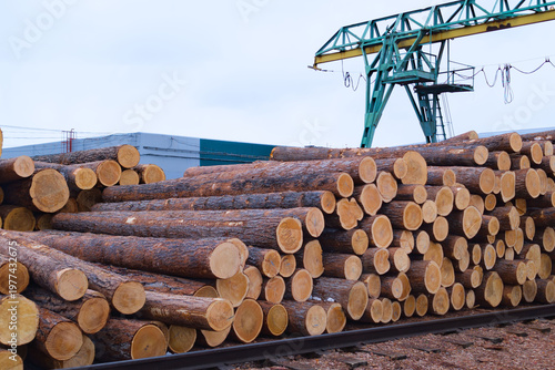 Wood logs stacked near a crane at a lumber yard with buildings in the background