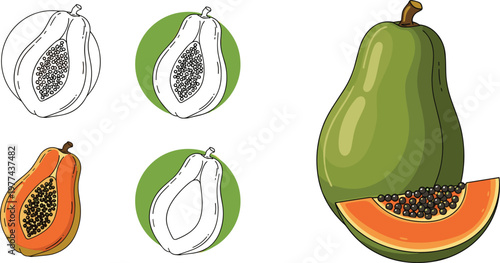 PrintPapaya fruit vector illustration set including sketch outlines and colored whole and sliced papaya isolated on transparent background for tropical food design