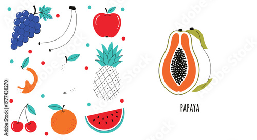 Hand drawn tropical fruits vector illustration set including banana apple pineapple papaya grapes watermelon and citrus isolated on transparent background for fresh food design
