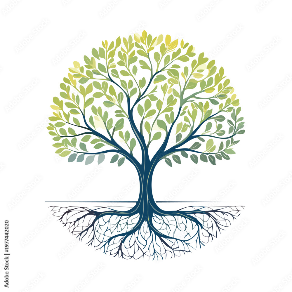 Fototapeta premium Vector illustration of a tree with green leaves and an extensive root system providing essential