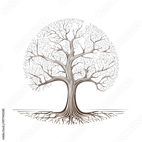 Illustration of a tree with bare branches and exposed roots providing essential scale elements