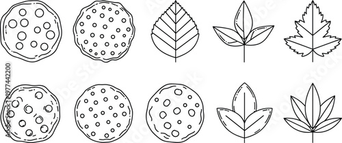 Set of cookie biscuits and leaf line art vector illustration collection isolated on transparent background for food and nature design elements