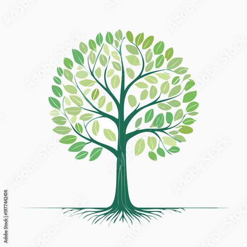 Green tree with exposed roots and branches providing essential scale elements for architectural