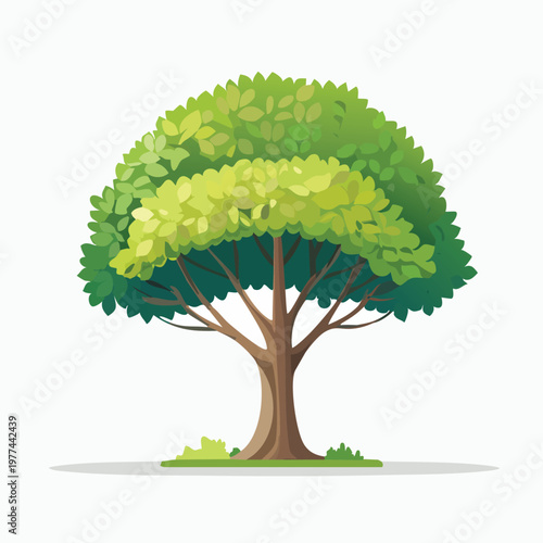 Graphic illustration of a rounded tree with layered green foliage and light green accents providing
