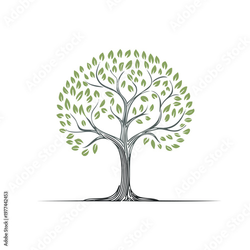Stylized tree with green leaves on white background providing essential scale elements for, line art