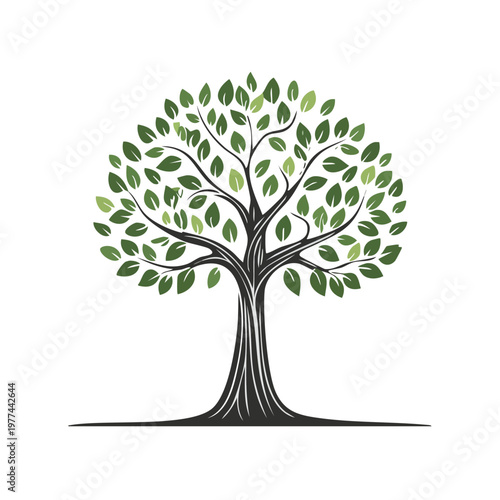 Stylized tree with green leaves and dark trunk on white background providing essential scale