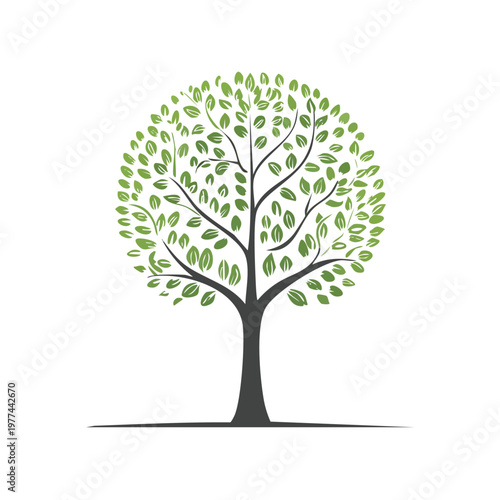 Abstract tree illustration with green leaves and prominent branches providing essential scale