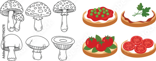 Mushroom line art set and bruschetta food illustrations with tomato toppings vector collection isolated on transparent background for cooking and nature design