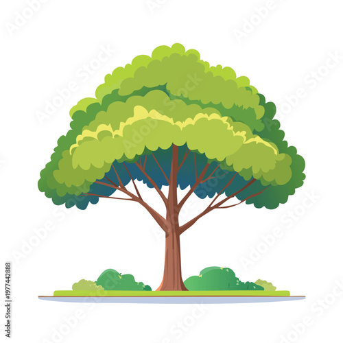 Broad tree with shrubs providing scale for architectural plans urban design visualization projects