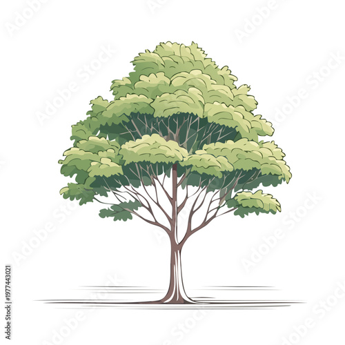Large tree providing essential scale elements for architectural plans urban design visuals