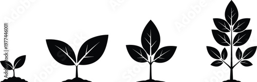 Plant growth stages silhouette collection isolated on white background, seedling to mature tree development, nature lifecycle, eco growth concept illustration