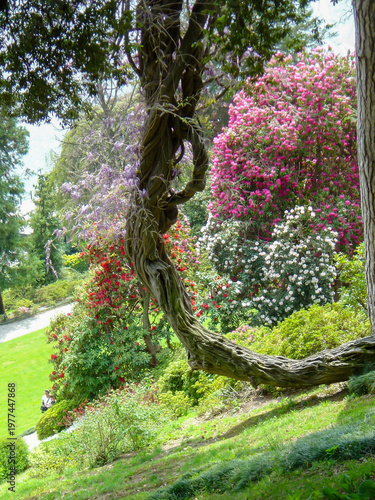 Twisted tree trunk framed by vibrant blooming flowers in a lush garden, with soft sunlight creating a serene, dreamy spring landscape.