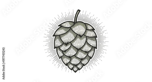 Detailed Vintage Style Hop Cone Emblem Design for Craft Beer Brewing and Ale Production