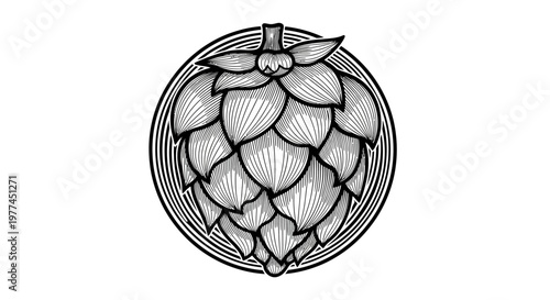 Detailed engraving style botanical hop cone illustration on white background