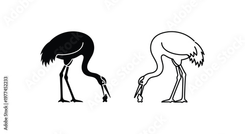 Ostrich vs Emu Bird Comparison Guide Vector
