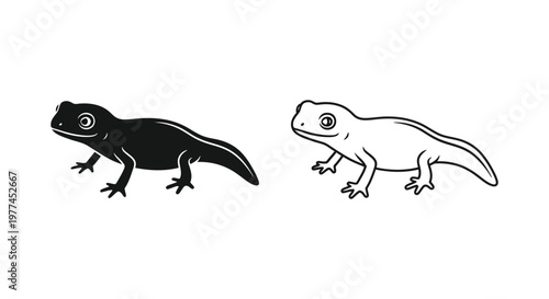 Black White Gecko Lizard Illustration Comparison Vector