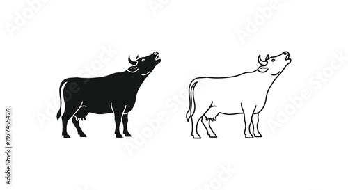 Cattle Breeds Comparison: Bull and Cow Visual Guide Vector