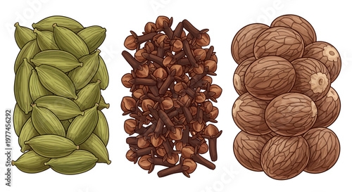 Piles of pistachios, hazelnuts and walnuts isolated on white