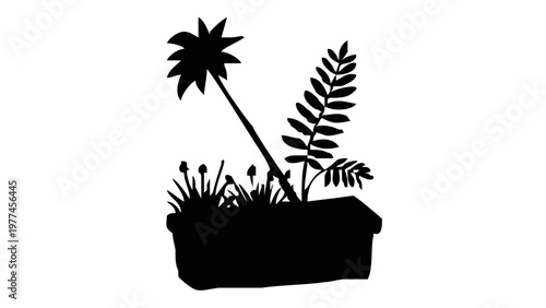 Silhouette of plants in pot.