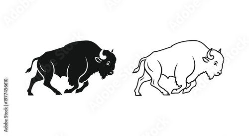 American Bison Illustration Guide & Symbolism Vector