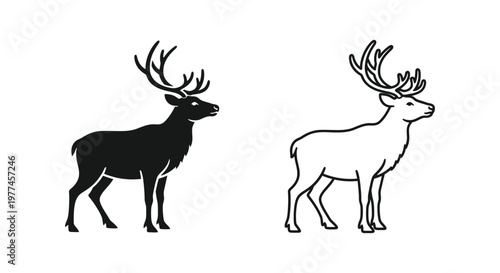 Deer Antlers Comparison: Stag vs Hind Guide Vector