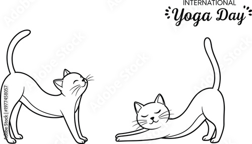 Cute Cat Yoga Poses Line Art Illustration Set International Yoga Day Theme Minimal Animal Stretching Exercise Vector Design