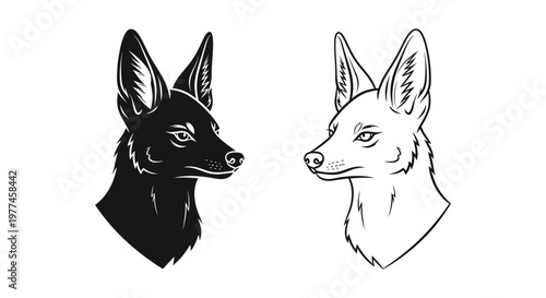 Black and White Canine Skull Comparison Illustration Vector