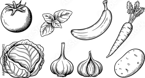 A detailed black and white sketch showcases a variety of fresh produce including a tomato banana carrot and cabbage high quality professional modern