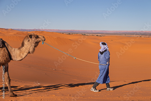 Camel trekking with guide in Merzouga sahara desert