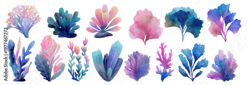 Watercolor collection of vibrant ocean plants, diverse underwater flora illustrating marine life, colorful coral reef elements, and aquatic botanical design