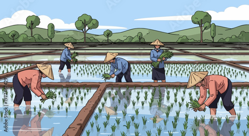 Asian farmers in conical hats planting rice in flooded paddies under a clear sky.