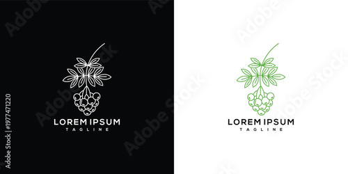 Line Art Logo Featuring Raspberry and Leaves