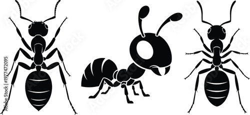 Illustration of Ants in Different Poses, Black Silhouettes for Insect and Nature Designs