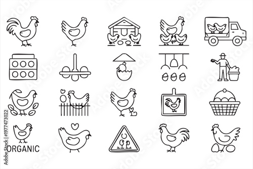 Chicken Farm Icon Set for Poultry Egg Production and Agriculture