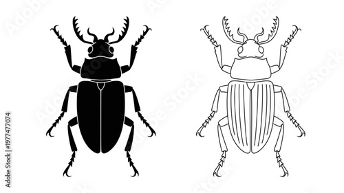 Two opposing views of a stag beetle, one in detailed outline and the other as a filled-in dark silhouette.