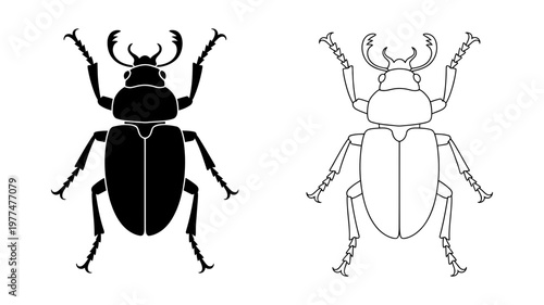 A detailed illustration of a stag beetle is presented in both a line drawing and a solid black silhouette format.