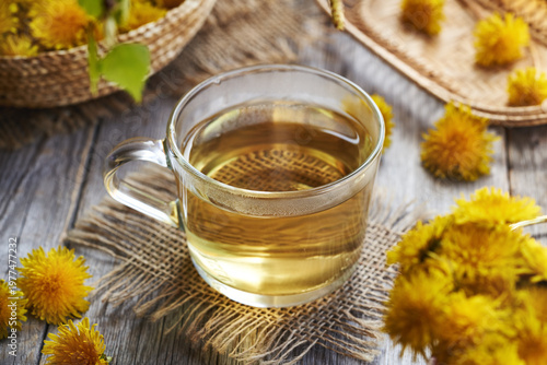A cup of herbal tea with fresh dandelion flowers