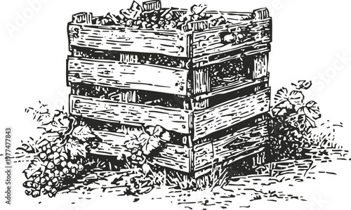 Wooden crate filled with harvested grapes surrounded by grapevine leaves and clusters in vineyard setting