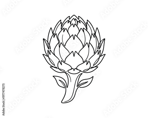 Artichoke flower linear art drawing for healthy food logo or vegetarian menu design element isolated vector