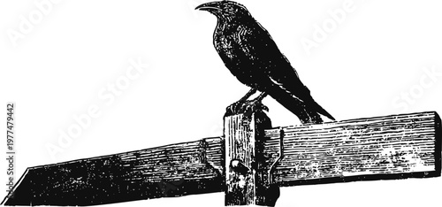 vintage black raven perched on wooden signpost, detailed sketch illustration
