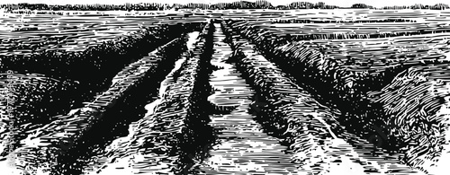 rustic plowed field with furrows and farmland landscape in vintage engraved