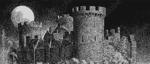 Medieval stone castle under full moonlight with fortified towers and dark night sky
