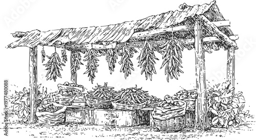 Rustic market stall with hanging and piled chili peppers in baskets and crates outdoors